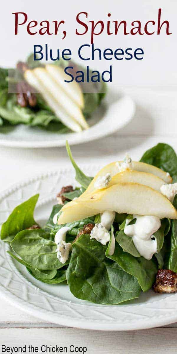 Fresh salad topped with blue cheese and slice pears.