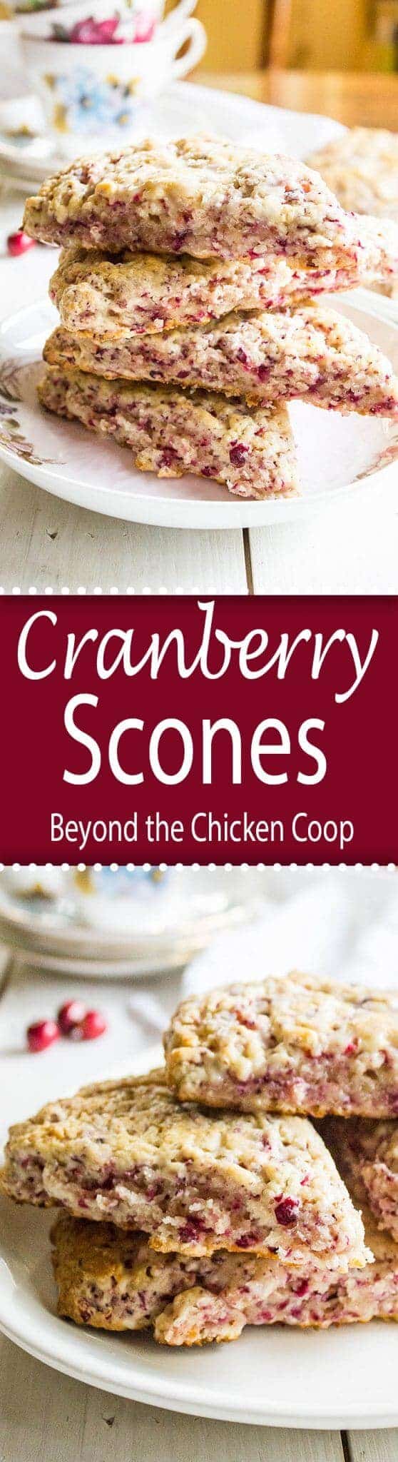 Cranberry Scones are perfect for breakfast or a midday snack! These scones can be made with fresh or frozen cranberries. #scones #cranberries #baking