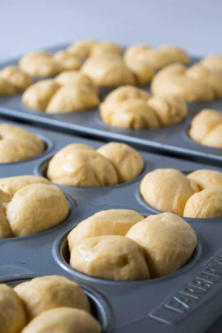 Clover leaf shaped rolls in a baking pan. 