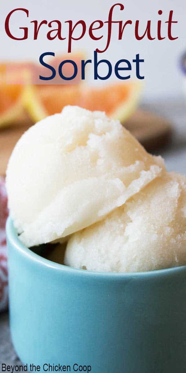 Grapefruit Sorbet Beyond The Chicken Coop