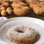 Cinnamon Sugar Doughnuts