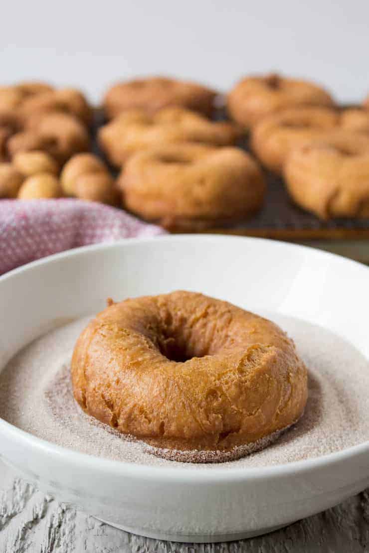 A doughnut in a bowlful of cinnamon and sugar. 