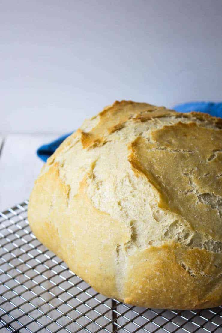 no knead artisan bread