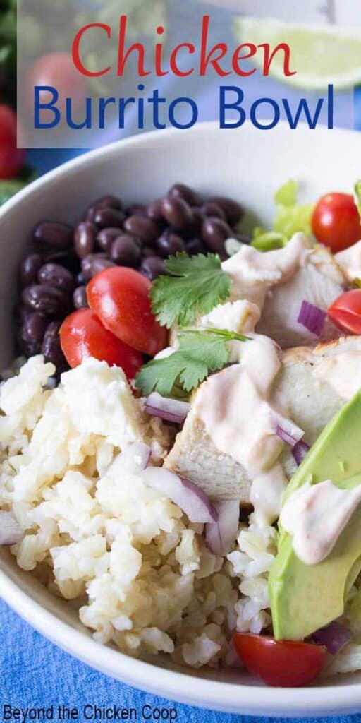 A salad topped with chicken, black beans, rice and avocadoes.