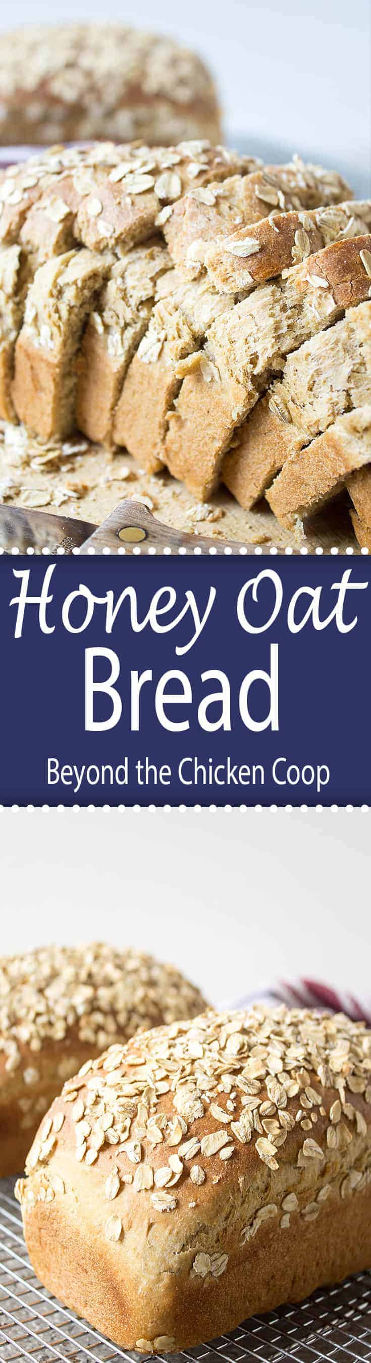Homemade Honey Oat Bread made with oatmeal. This recipe makes two delicious loaves of bread perfect for sandwiches or for toast. #bread #homemadebread #honeyoat #baking