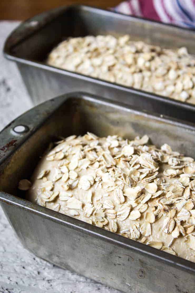 Loaves of unbaked bread in bread pans. 