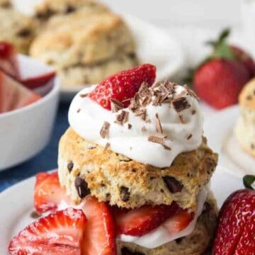 Fresh strawberries sliced and added to a sweet biscuit with chunks of chocolate and whipped cream.