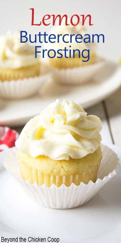A cupcake with a swirl of frosting on top.