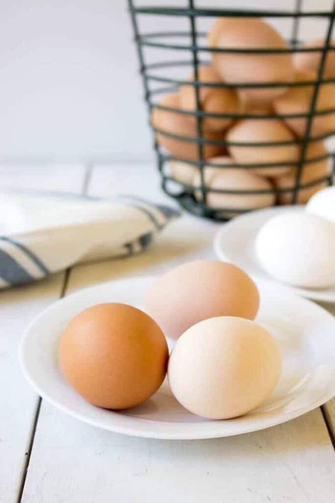 Free Range Eggs vs Store Bought Eggs Beyond The Chicken Coop