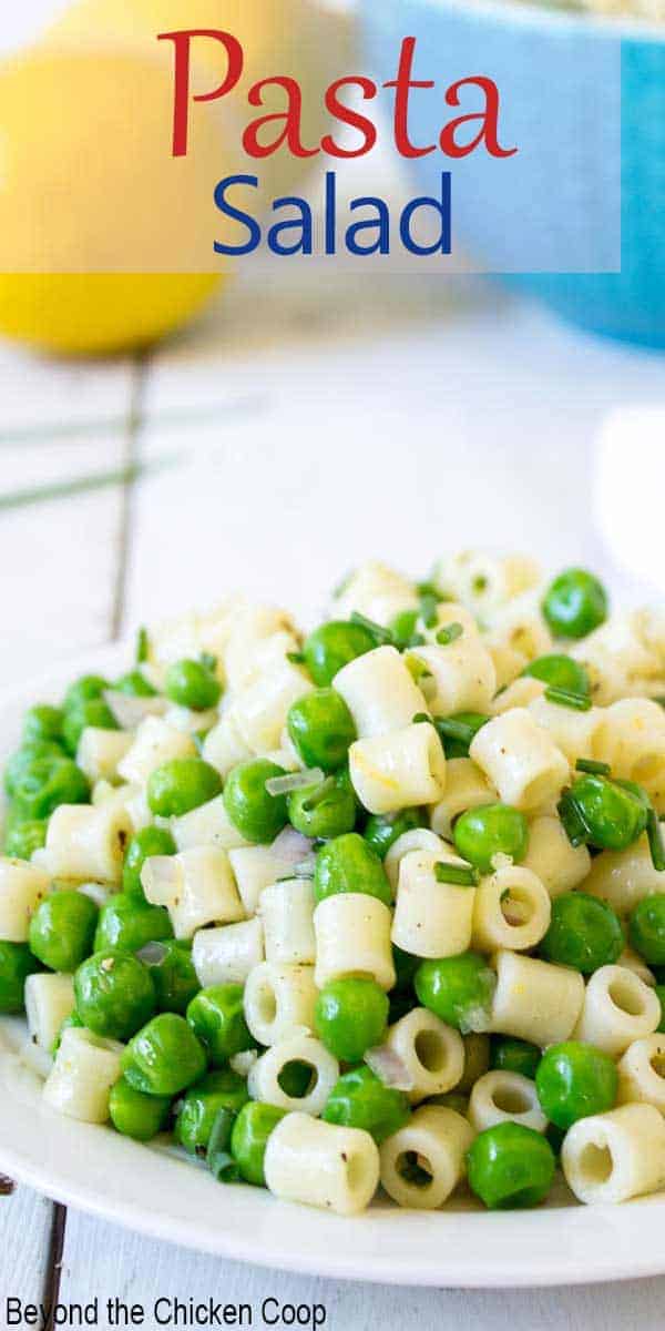 Small pasta and peas on a white plate.
