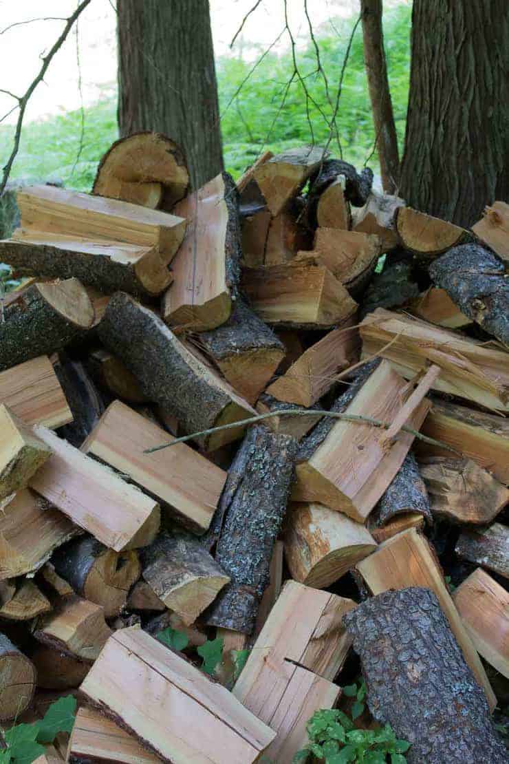 Firewood drying and ready to be brought into the wood shed