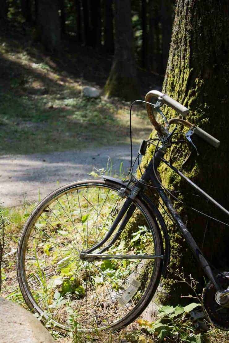 An old bicycle leaning against a tree.