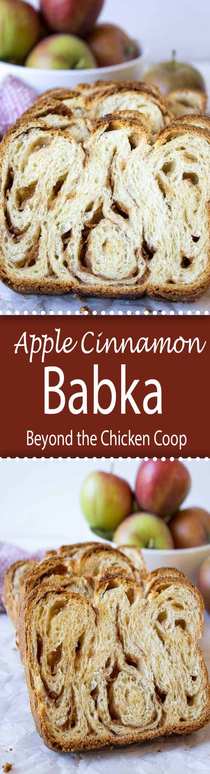 Sweet dough filled with fresh apples and cinnamon is a lovely twist on a traditional babka bread. #babka #apples #applebread