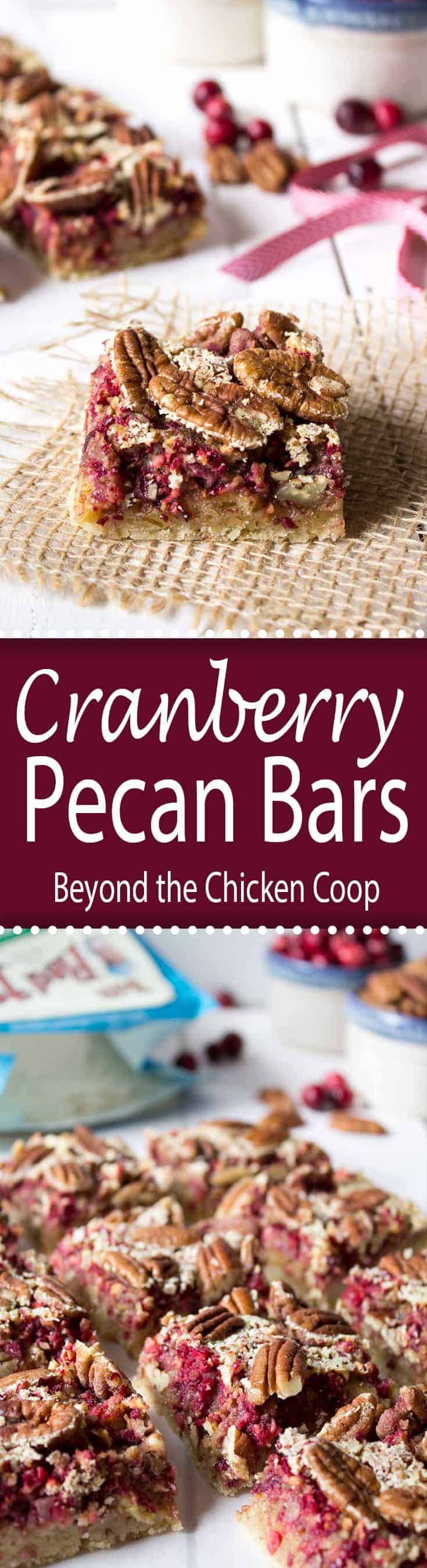 AD: Cranberry Pecan Bars are perfect for holiday giving and adding to a cookie tray.