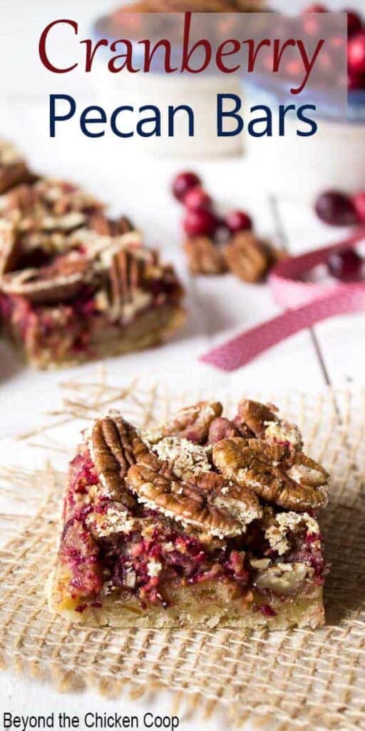 Pecan bar with fresh cranberries.