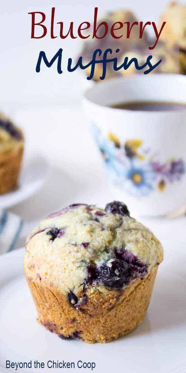 American Blueberry Muffins Blaubeer Muffins — Rezepte Suchen