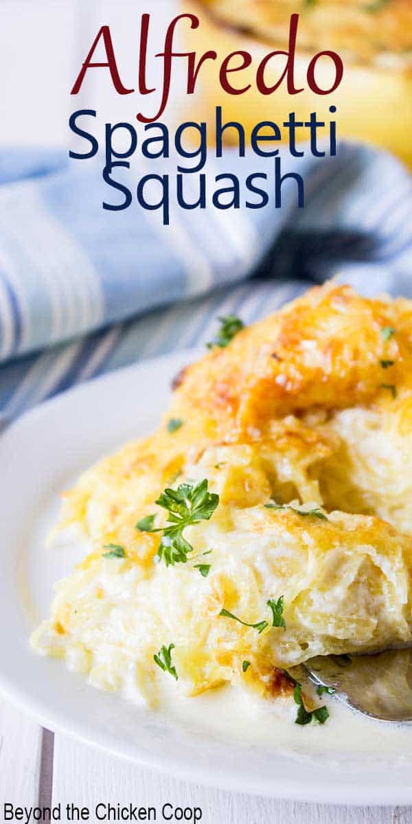 Spaghetti squash with Alfredo sauce. 