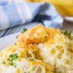 Spaghetti Squash Alfredo is delicious as a side dish or as a meal all by itself.