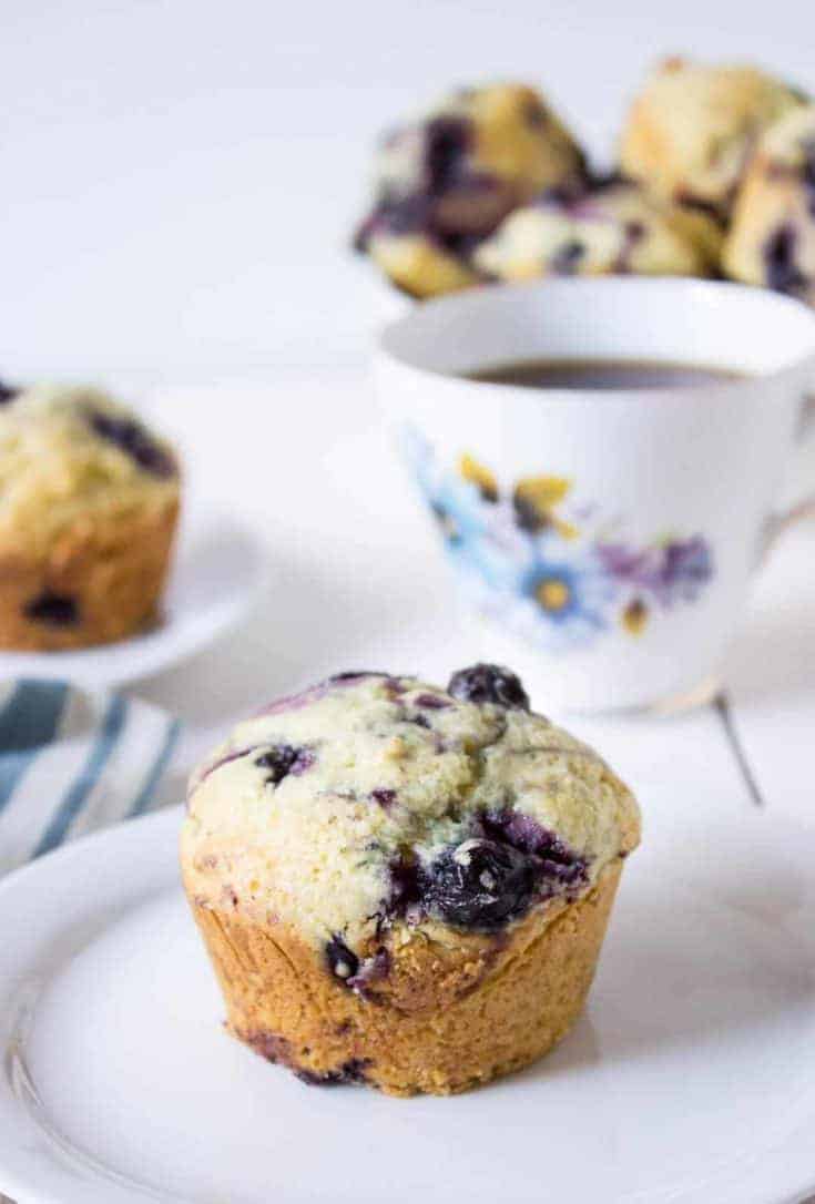 Blueberry Muffins - Beyond The Chicken Coop