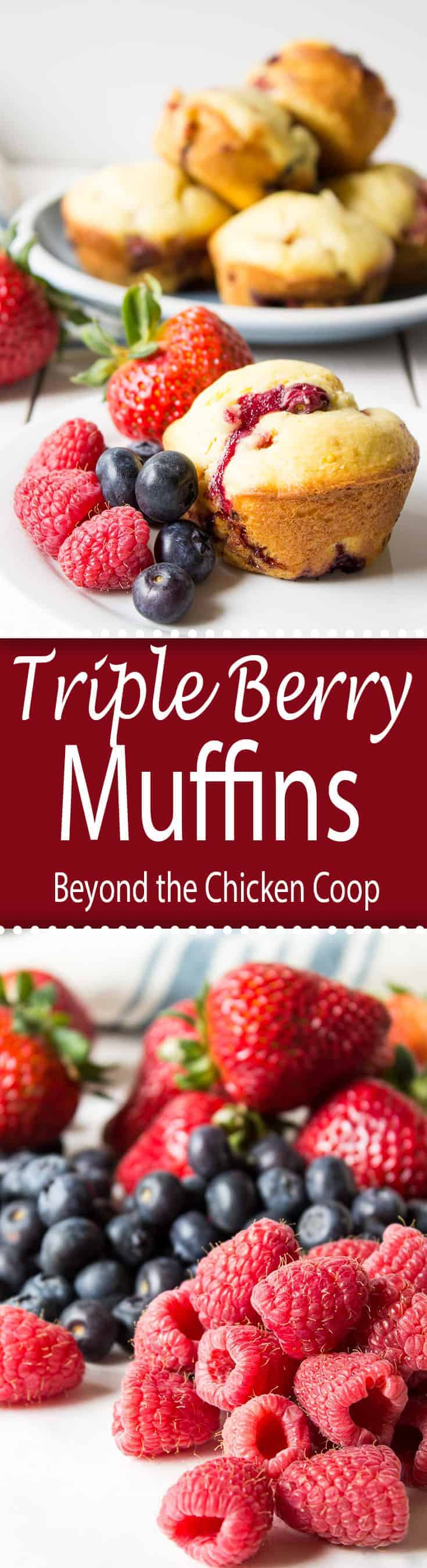 Homemade muffins bursting with strawberries, raspberries and blueberries. Perfect for breakfast, brunch or a midday snack!