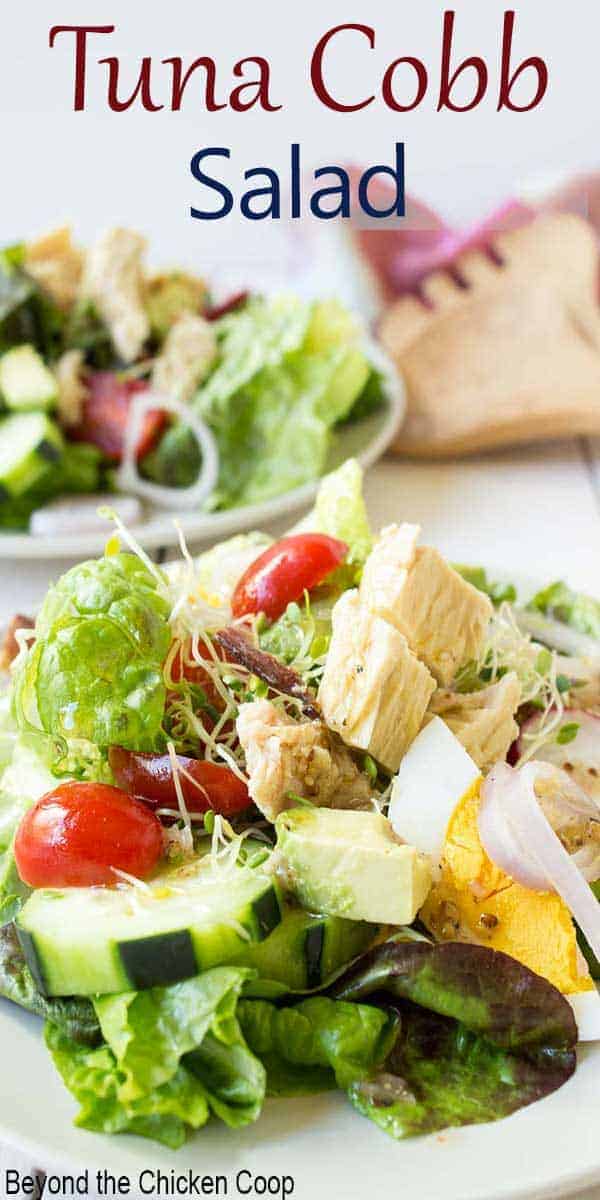 Salad with tuna, tomatoes and cucumbers.