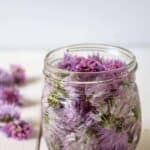 Chive vinegar is made with the flowers from fresh chives. Use this vinegar in salad dressings for a hint of chives.