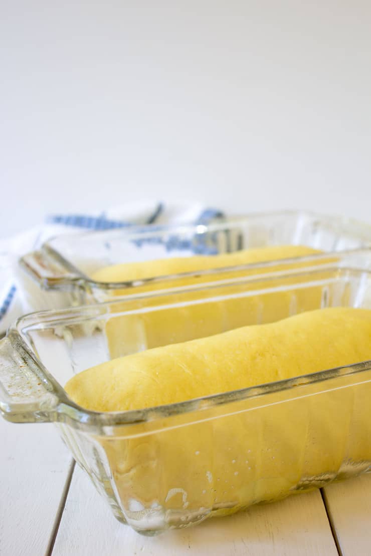 Two loaves of bread dough in a glass bread pan.