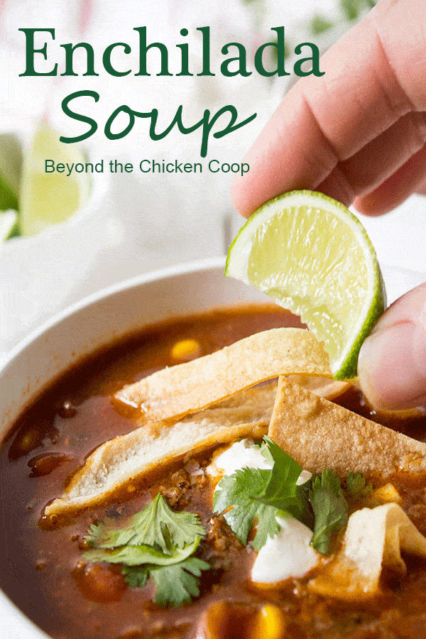 Enchilada soup is full of black beans and corn with a delicious tomato and enchilada broth. #soup #enchiadasoup #souprecipes #dinner #lunch