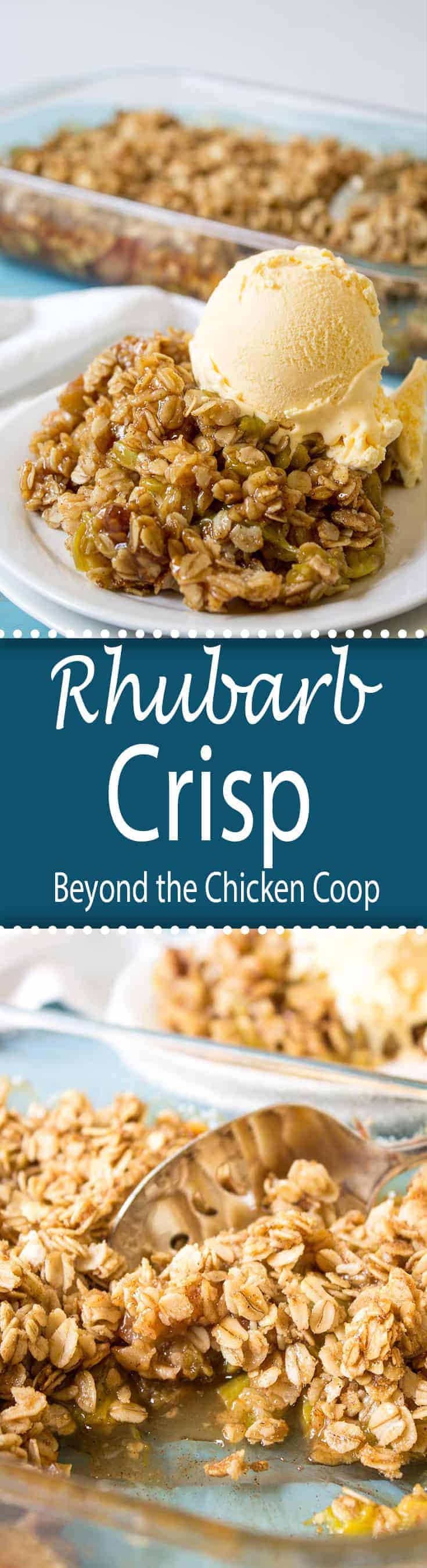 Fresh rhubarb baked into a delicious crisp with an oatmeal topping.