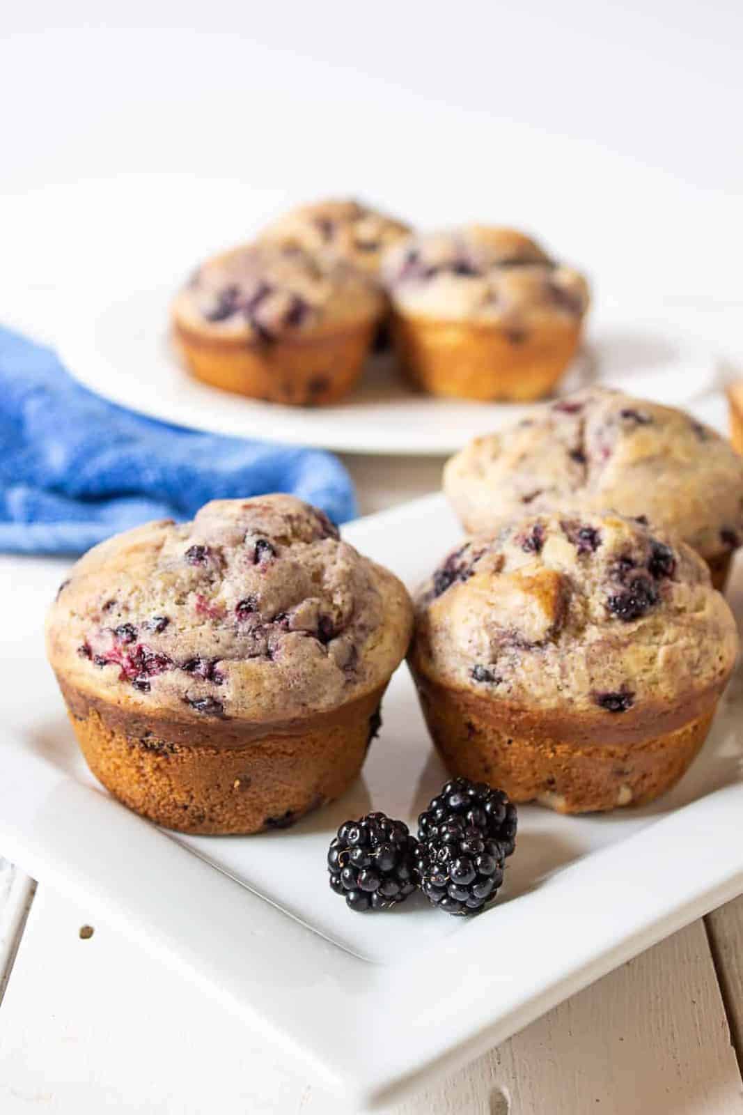 Blackberry Muffins - Beyond The Chicken Coop