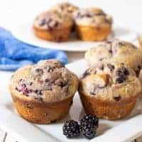 Blackberry Muffins
