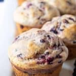 Freshly baked Homemade Blackberry Muffins are perfect intended breakfast or a midday snack.