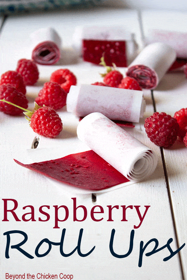 Raspberry Fruit Roll Ups are a favorite with kids and adults! Only two ingredients is all you need to make this healthy snack! #raspberries #fruitrollups #fruitleather
