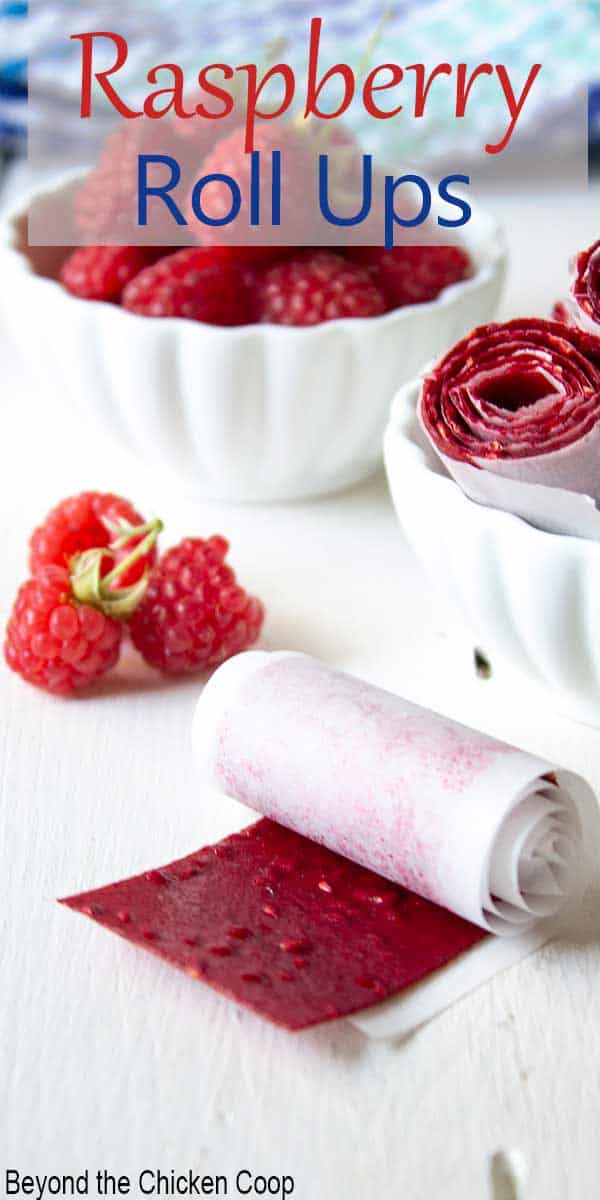 Dried raspberry leather rolled up in a white piece of parchment paper. 