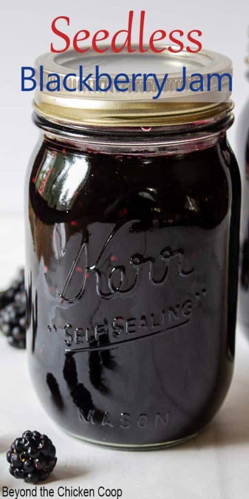 A glass canning jar filled with jam and fresh blackberries around the jar.