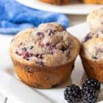 Blackberry muffins on a plate with fresh blackberries.