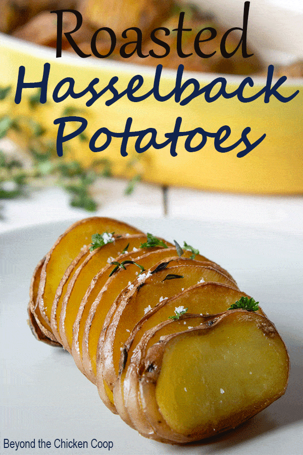 Roasted Hasselback Potatoes are a perfect side dish for any meal. They are perfect for the holidays or everyday meals. Seasoned with olive oil, fresh rosemary and thyme. #potatoes #hasselbackpotatoes #sidedish #holidays #dinner