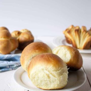 Homemade Dinner Rolls are a delicious touch to any meal.