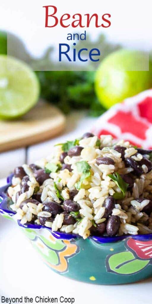 A colorful bowl filled with black beans, rice and herbs.