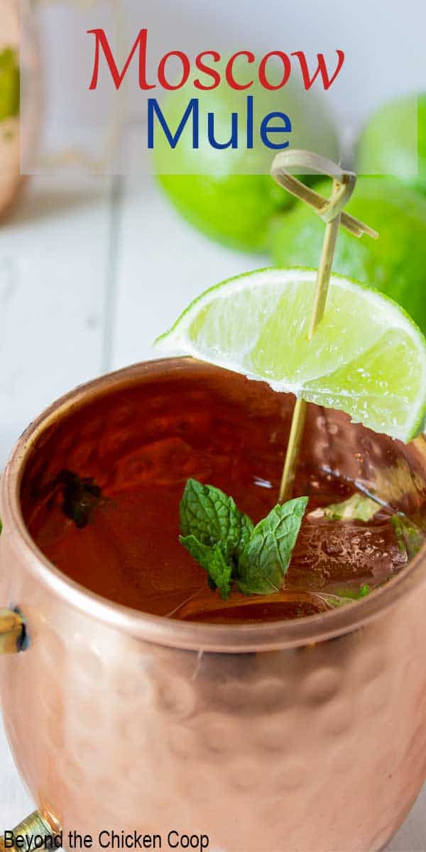 A copper mug filled with a clear beverage and topped with a fresh sprig of mint.