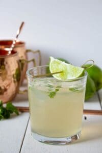 Moscow Mule made with ginger ale, fresh lime juice, vodka and mint.