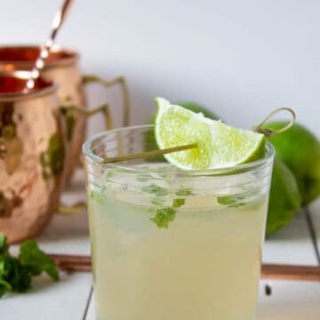 Moscow Mule made with ginger ale, fresh lime juice, vodka and mint.