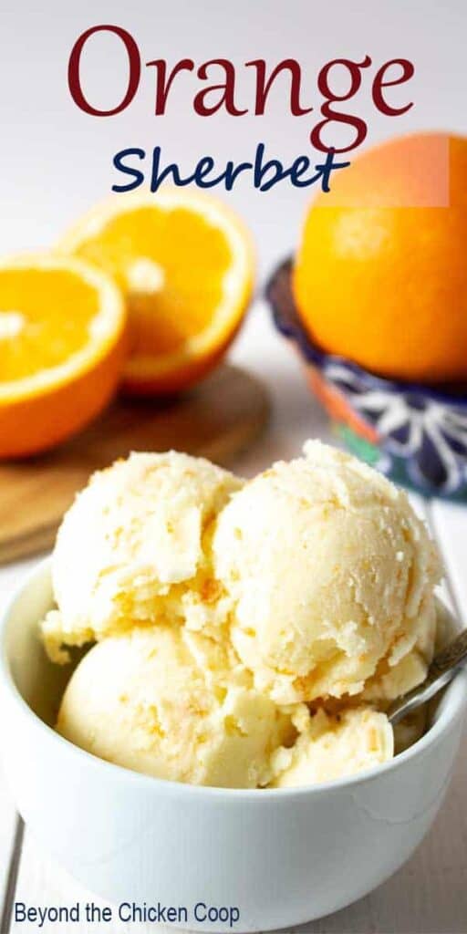 Scoops of orange sherbet in a small white bowl.