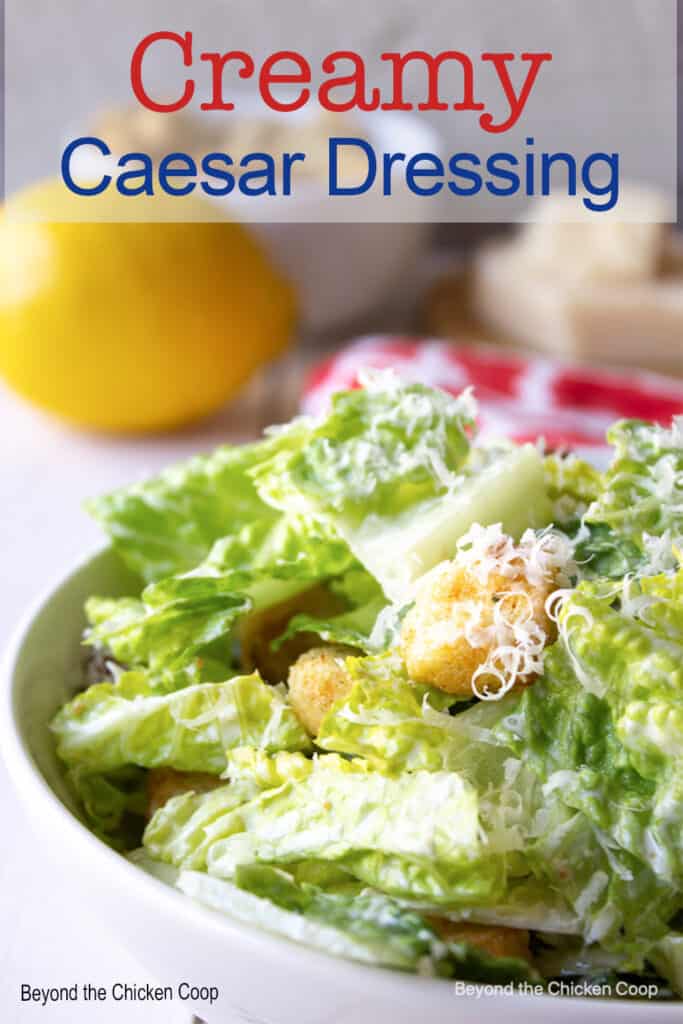 A green salad with croutons and shredded cheese.