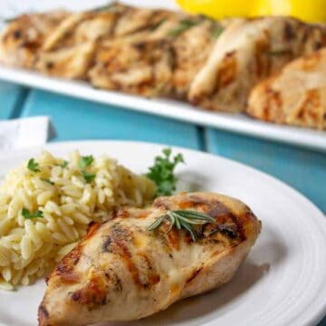 A grilled chicken breast on a white plate with orzo pasta next to the chicken.