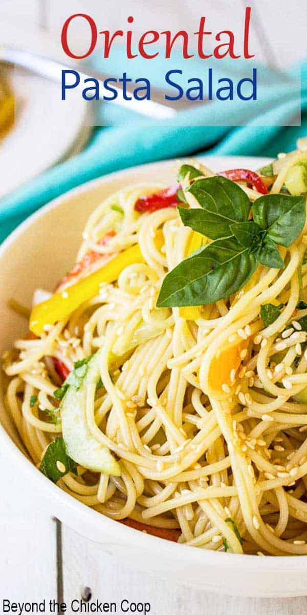 A bowlful of pasta with bell peppers, cucumbers and basil.