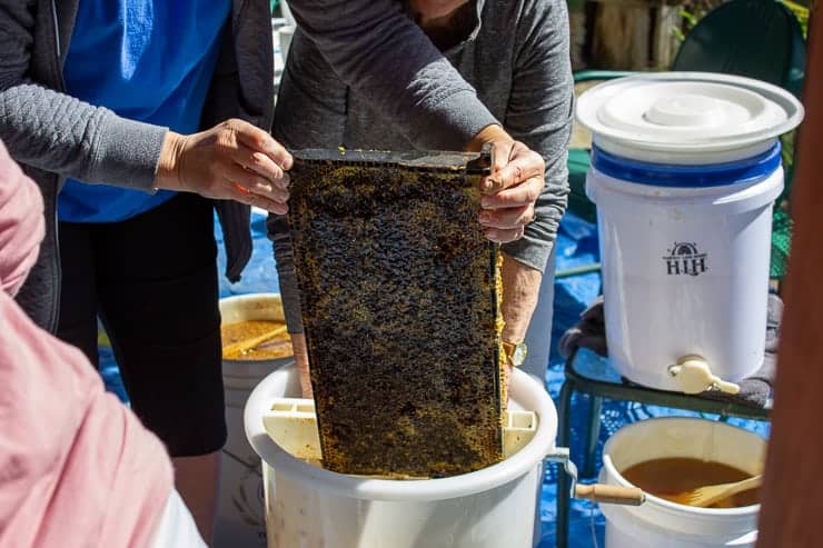 Placing frames into a honey extractor. 