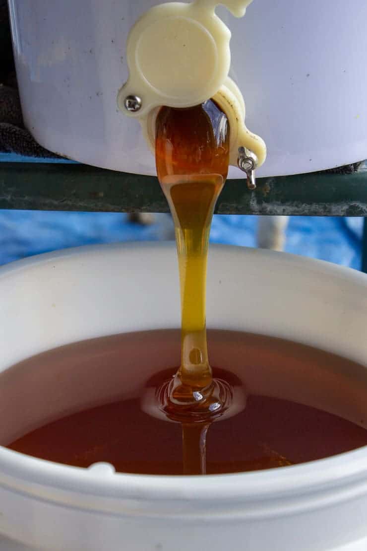 Honey pouring from a large spout in a large white bucket.