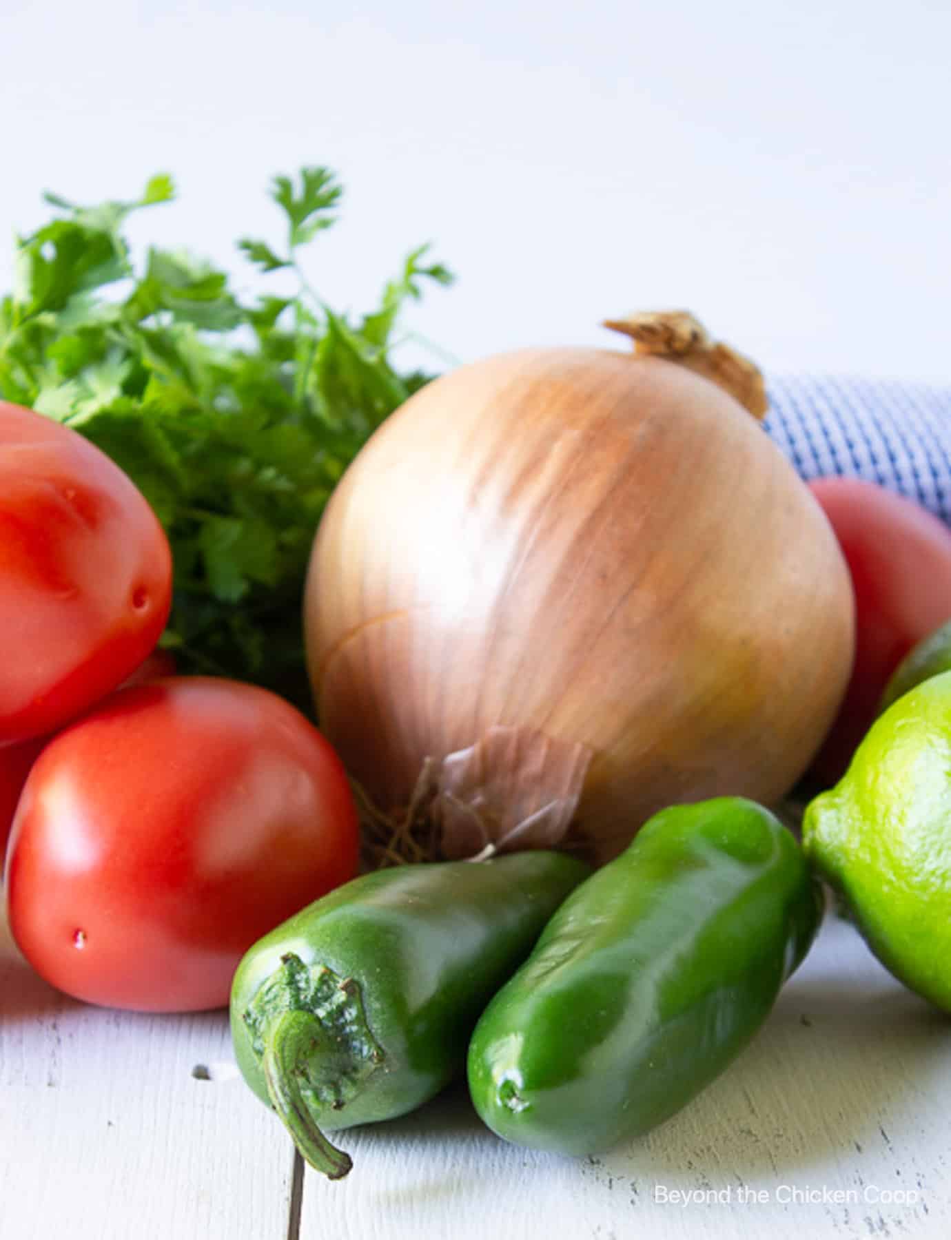 Two jalapenos, an onion and tomatoes on a white board.