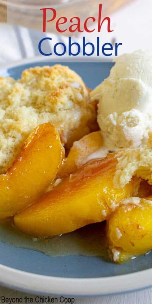 Sliced peaches with vanilla ice cream on a blue and white plate.